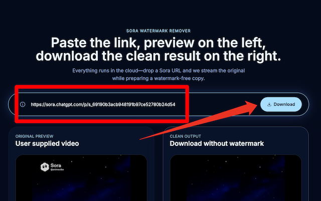 Screenshot of pasting a link into sorawatermarkremover.ai